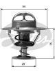 Gates Thermostat