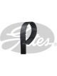 Gates PowerGrip Timing Belt