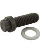 Wilwood Bolt Kit - Wide 5 Drive Flange 12 Point Chromoly - 8 Pk.