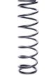 Afco Racing Products Coil Spring Coil-Over 2.625 in ID 12.000 in Lengt