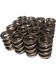 COMP Cams Dual Valve Springs 1.640