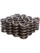 COMP Cams Dual Valve Springs 1.320