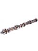 COMP Cams Bbf Solid Roller Cam 319Cr-10 285/288@50 .796/726