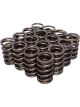 COMP Cams Dual Valve Springs 1.509