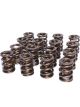 COMP Cams Dual Valve Springs 1.565