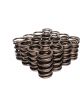 COMP Cams Dual Valve Springs 1.430