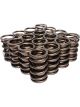 COMP Cams Dual Valve Springs 1.430