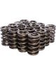 COMP Cams Dual Valve Springs 1.384