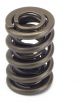 Crower Valve Springs 1.635Od Dual 236-864Lbs @ 2.050 .950 Lift (C68860-16)
