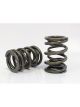 Ferrea For Nissan Rb25Det Valve Spring Set 95Lb @ 30Mm Notes