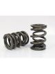 Ferrea Dual Valve Spring 28Mmod, 20.8mm Id For Subaru Brz