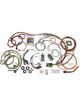 Painless Wiring Painless Mustang 65-66 Wiring Harness 22 Circuit