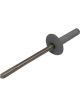 Panelfast Mushroom Grip Alloy Rivets 1/8 X 3/8 (250 Pac)