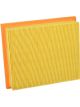 Fram Air Filter