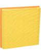 Fram Air Filter