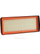 Ryco Air Filter