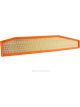 Ryco Air Filter