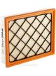 Ryco Air Filter