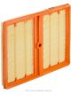 Ryco Air Filter
