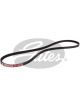 Gates Micro-V Ribbed Belt