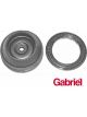 Gabriel Strut Mount