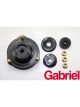Gabriel Strut Mount