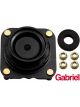 Gabriel Strut Mount