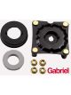 Gabriel Strut Mount
