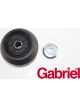 Gabriel Strut Mount
