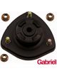 Gabriel Strut Mount