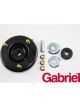 Gabriel Strut Mount