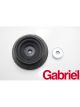 Gabriel Strut Mount