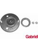 Gabriel Strut Mount