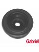 Gabriel Strut Mount