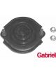 Gabriel Strut Mount