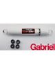 Gabriel Truck Shock Absorber