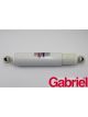 Gabriel Truck Shock Absorber