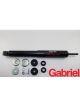 Gabriel Truck Shock Absorber