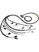 MSD Wiring Harness MSD 6-Hemi Ignition To Pack Mopar Hemi V8 Modular (MSD-88863)
