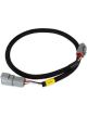 AEM AEMnet Extension Cable 2 feet Kit