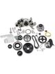 Holley Accessory System, COMP MID-MT PREM SYSEM, LS WP ALT PS-NATURAL