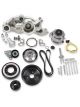 Holley Accessory System, COMP MID-MT PREM SYSTEM, LS WP ALT-NATUR