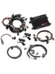 Holley Engine Management System HP EFI ECU and Harness NTK Wideband O