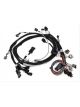 Holley Gen III Hemi Main Harness, Early, W/TPS & IAC Connections