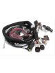 Holley Gen III Hemi Main Harness, Late, W/TPS & IAC Connections