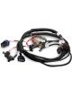 Holley Engine Control Module Wiring Harness
