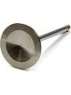 Edelbrock Intake Valve 2.190 in Head 11/32 in Valve Stem Stainless Edelb