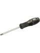 Draper Tools Expert Draper Tools TX-Star Driver T40 X 100mm Long