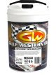 Gulf Western Euro Energy 5W-30 Full Synthetic Engine Oil 20L