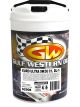 Gulf Western Euro Ultra 5W-30 Fully Synthetic Engine Oil 20L